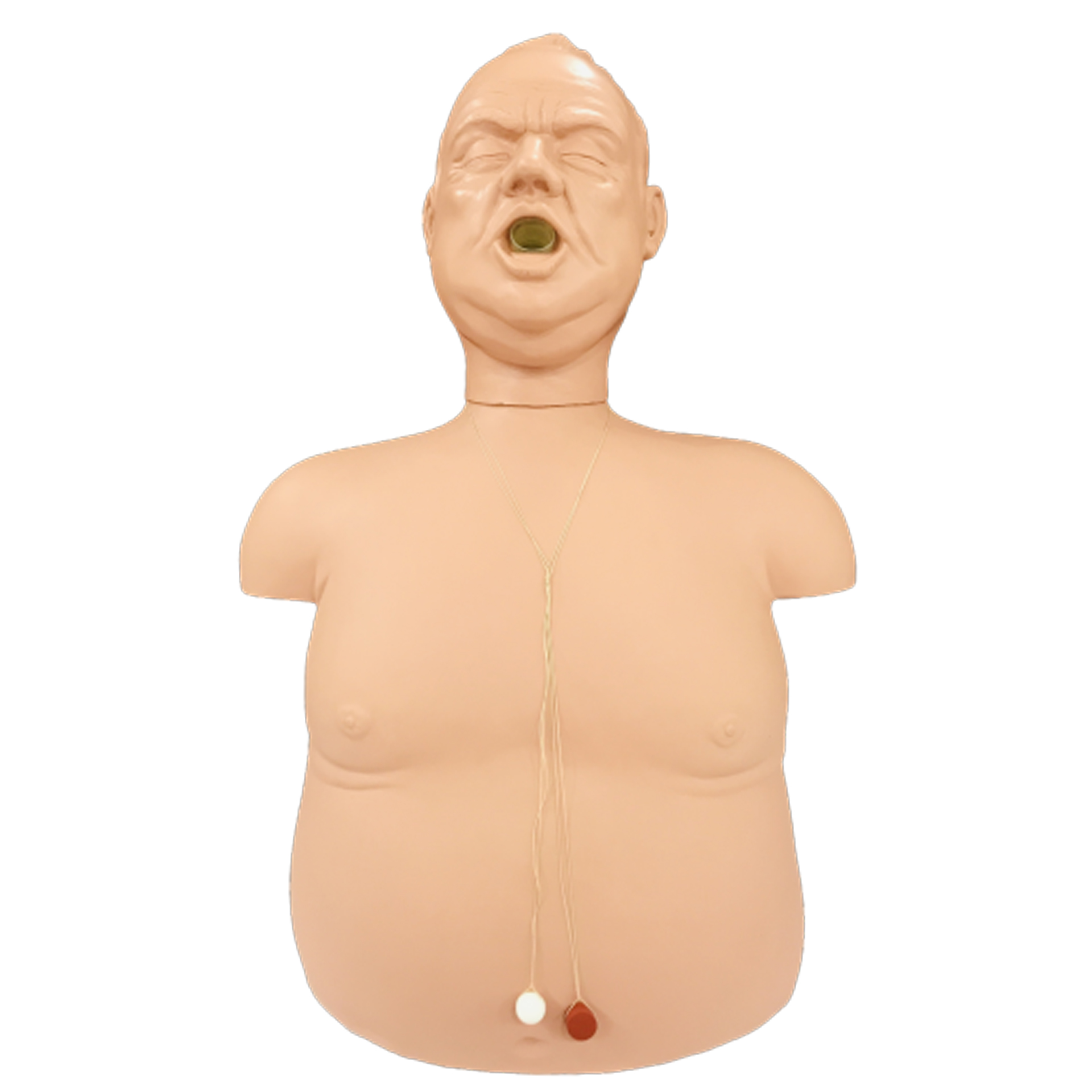 Model Penanganan Tersedak Image